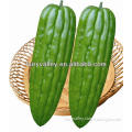Chinese Vegetable seeds-Balsam Pear Seeds/Bitter Gourd Seeds/Bitter Melon Seeds For Planting